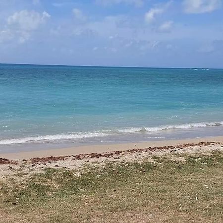 Ohana Guest House Port Mathurin Bagian luar foto